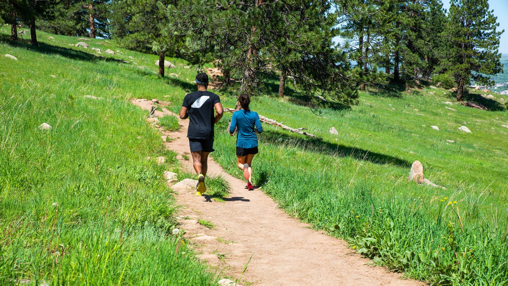  Exploring the Best Running Trails in Boulder, Colorado