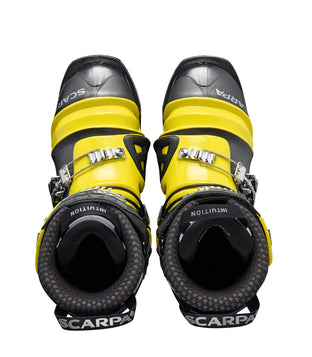 TX COMP (PRINTEMPS 2024)