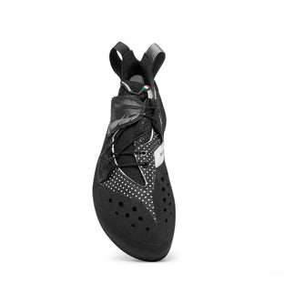 BLACKBIRD (NEW)