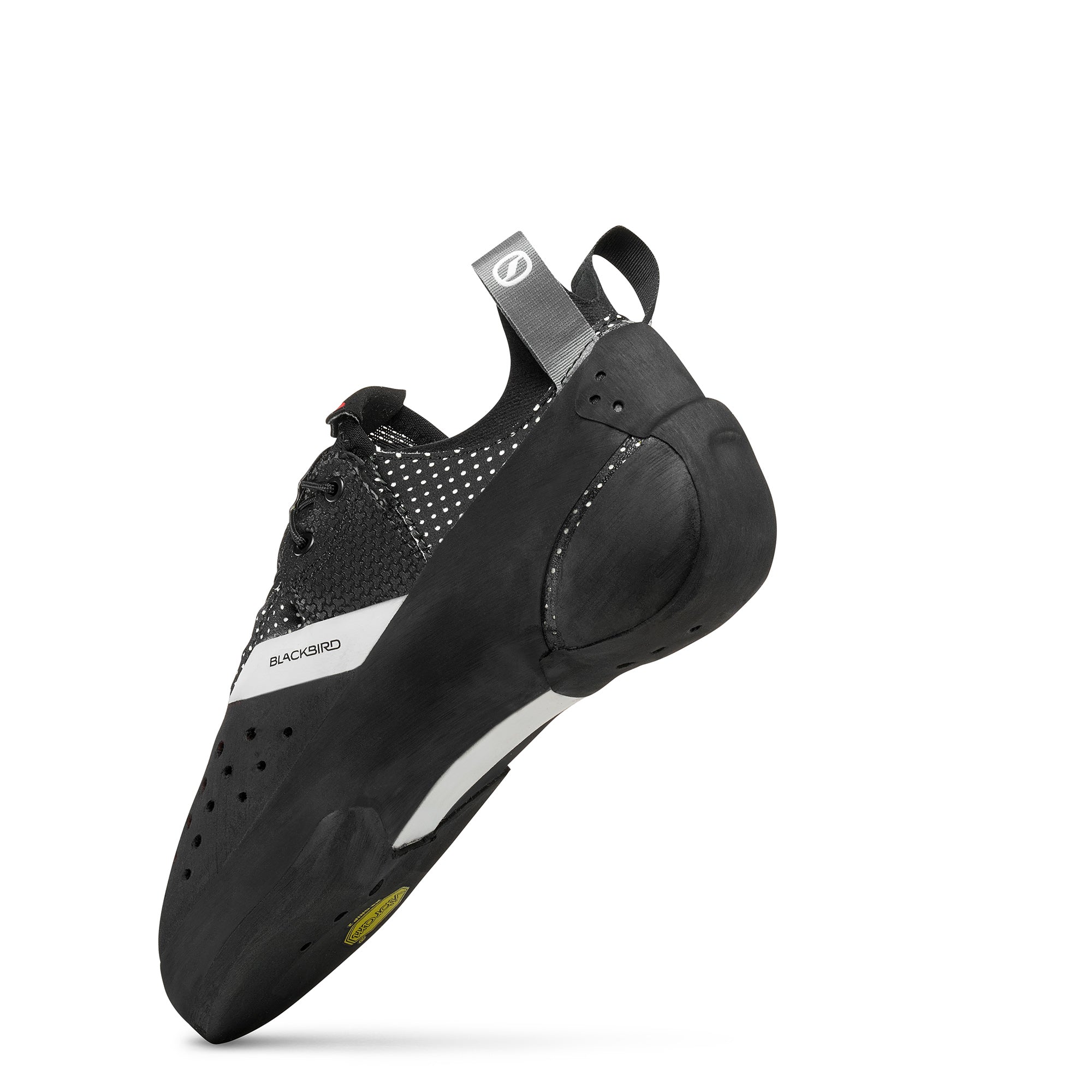 BLACKBIRD (NEW)