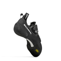 BLACKBIRD (NEW)