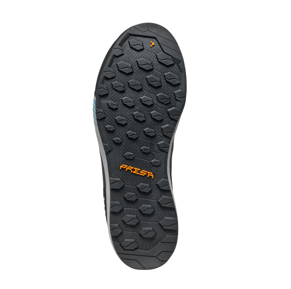 GECKO HOMME