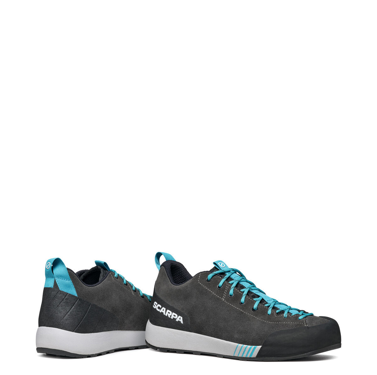 GECKO HOMME