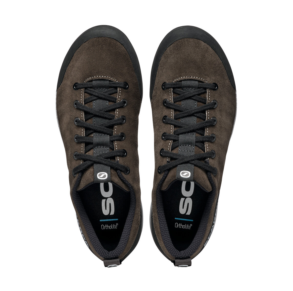 SPIRIT EVO HOMME
