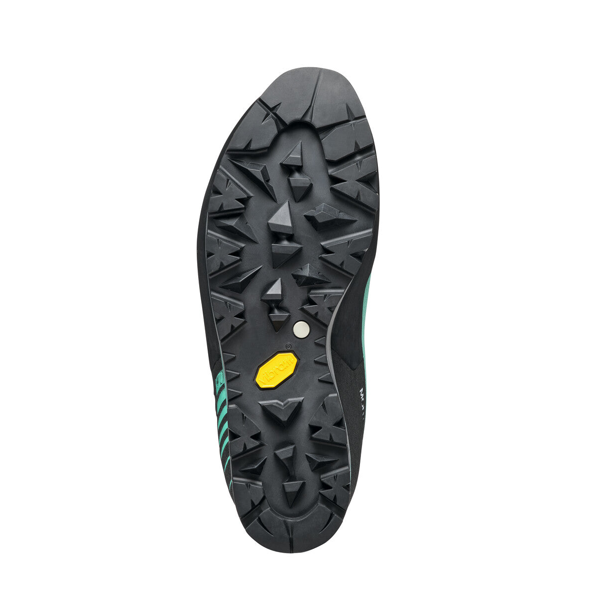 MONT BLANC PRO GTX FEMME